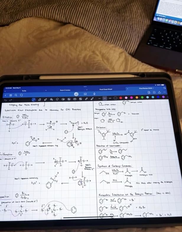 Live performance with English by Sarah 