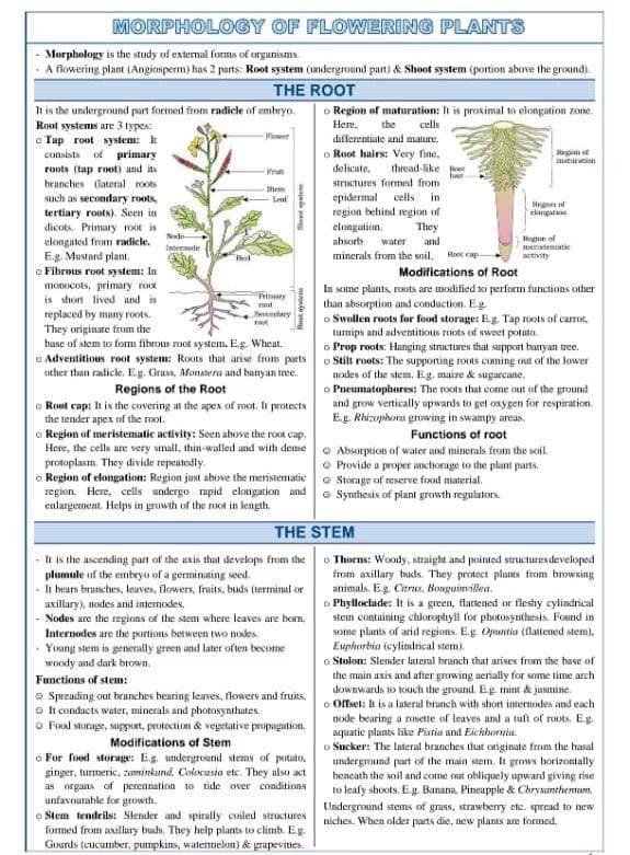 Biology learning materials by Ekta