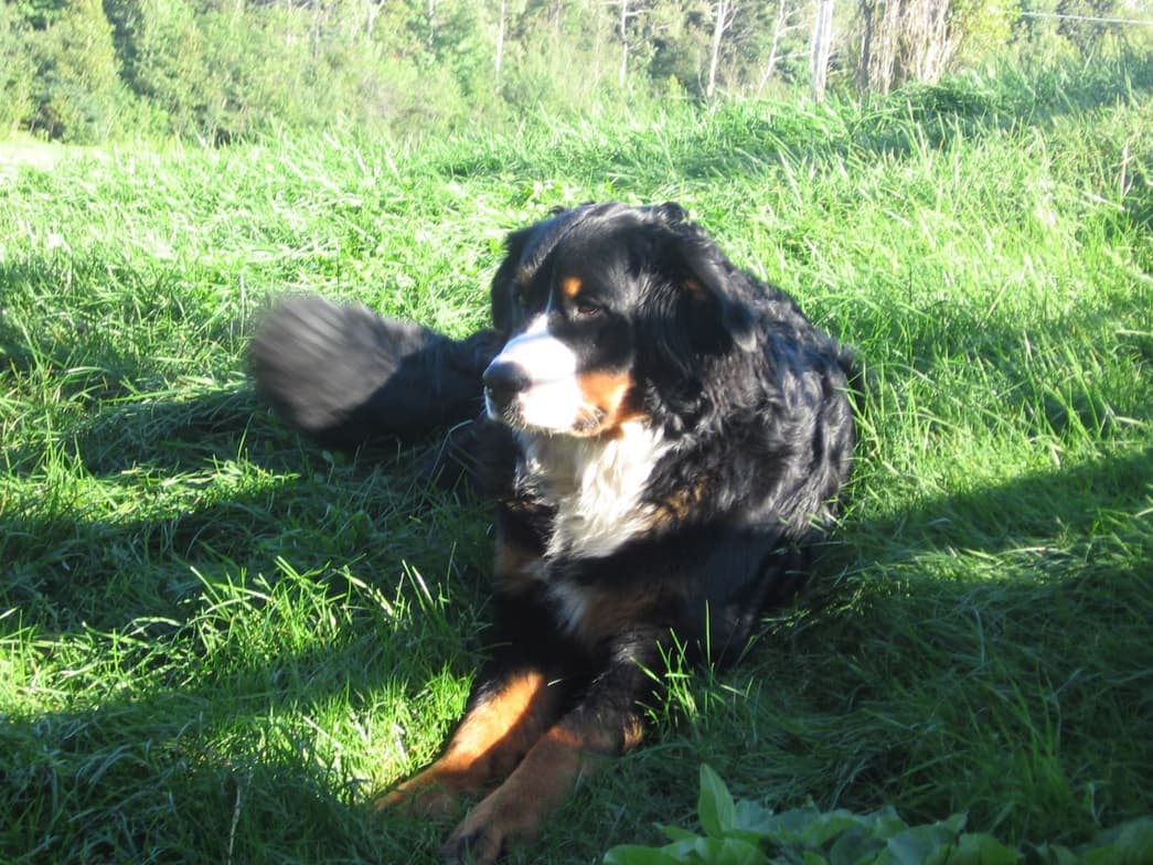 Emilieenjoying a hobby outside teaching 