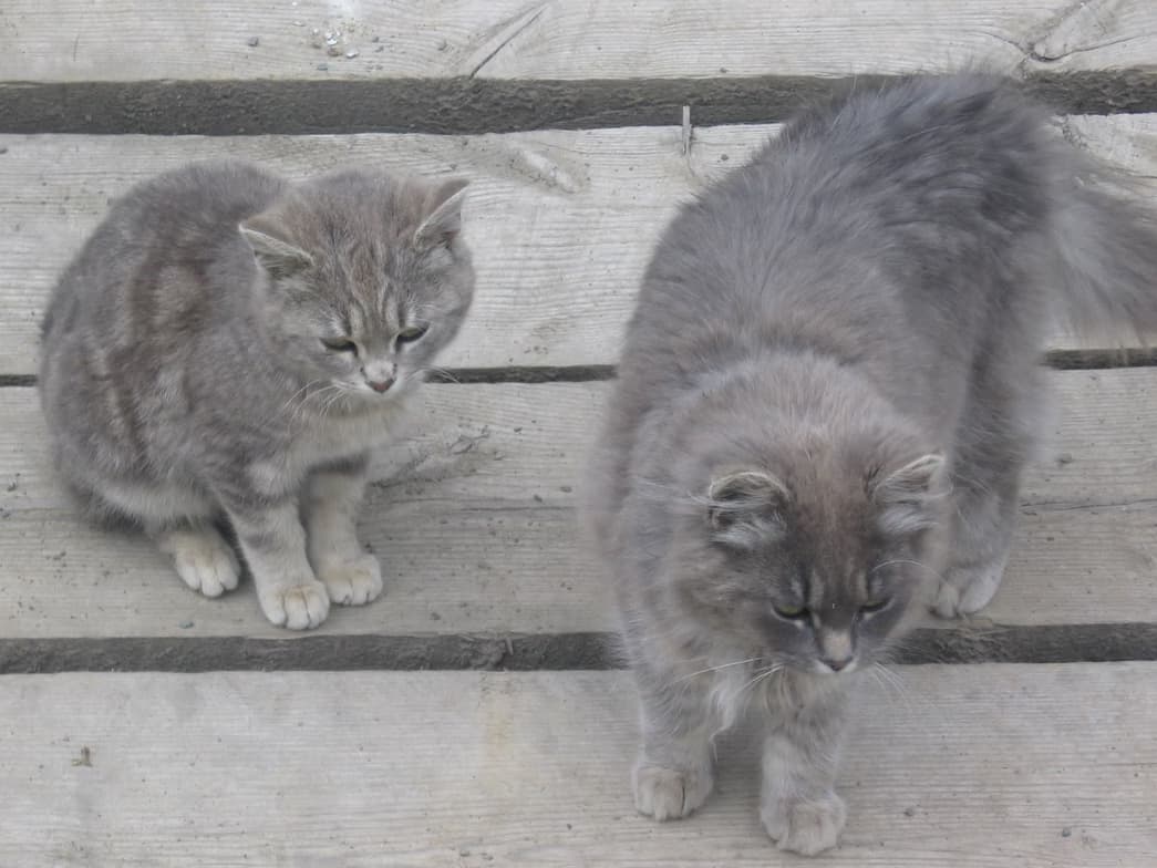 Casual photos of Emilie, Wiingy tutor 