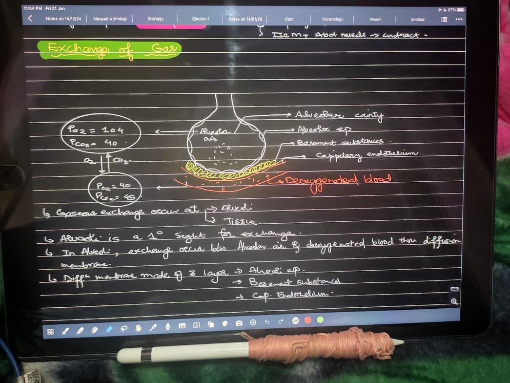 Live performance with Science by Arsalan  
