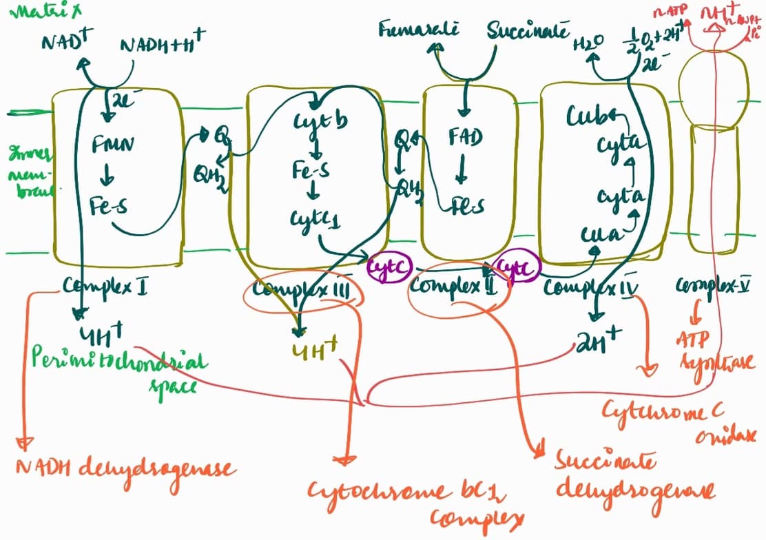 Biology learning materials by Pragyan Paramita  