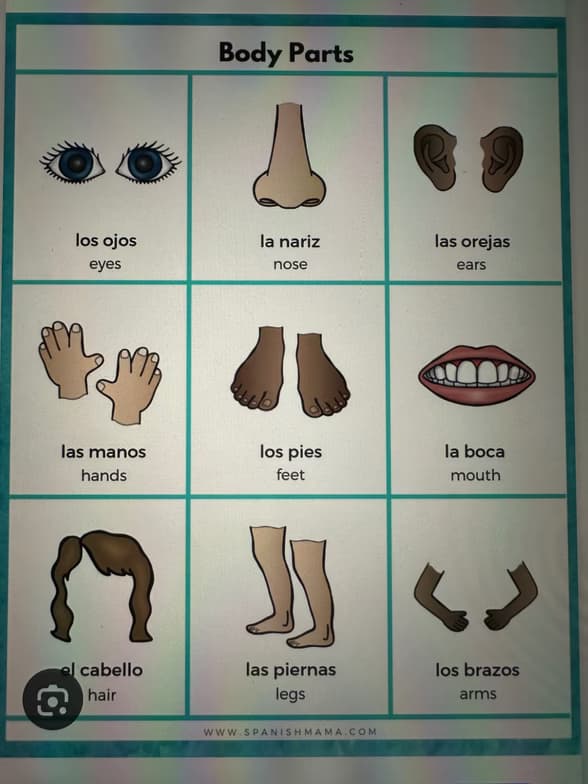 Spanish learning materials by Julisa  