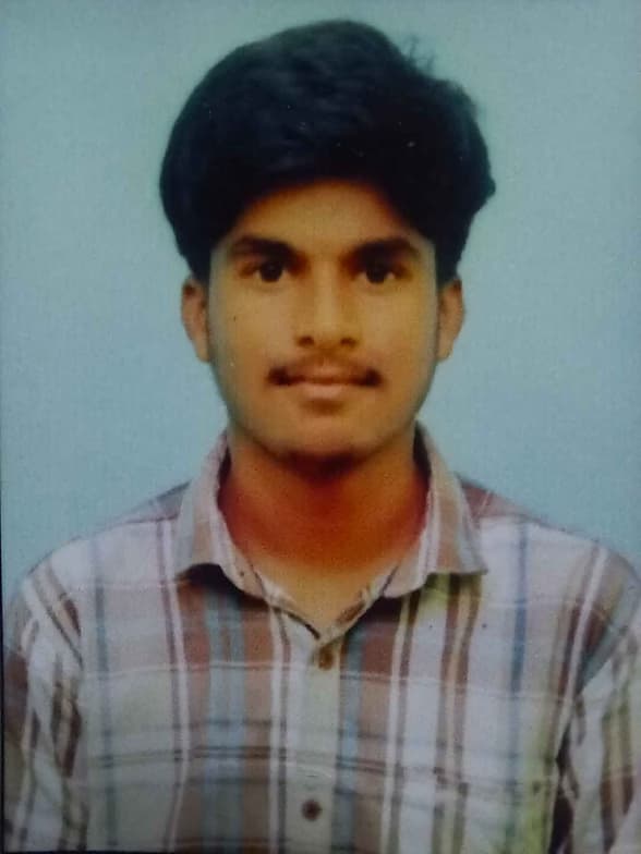 Profile photo of Raju, Mathematics tutor at Wiingy 