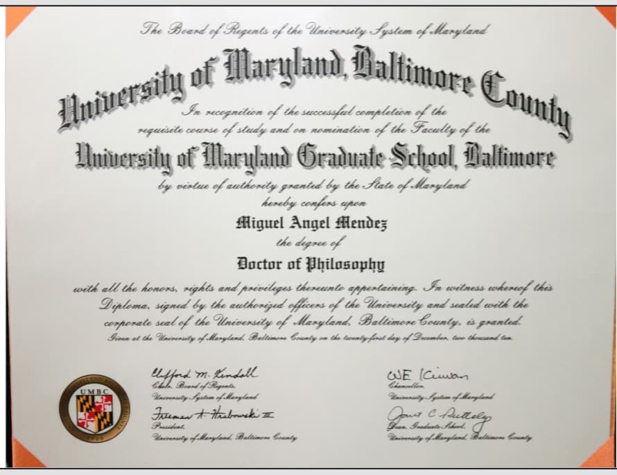 Verified degree or teaching certification of Miguel Angel 