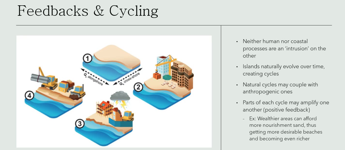 Biology learning materials by Cassian 
