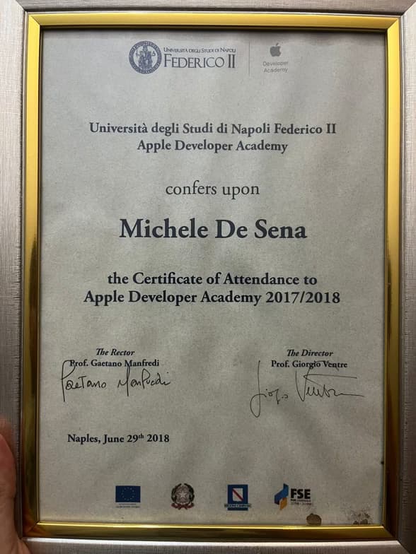 Verified degree or teaching certification of Michele 