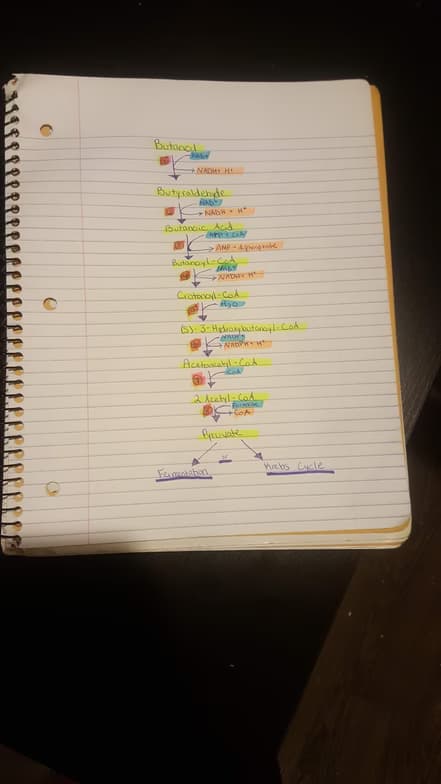 Chemistry learning materials by Therrin