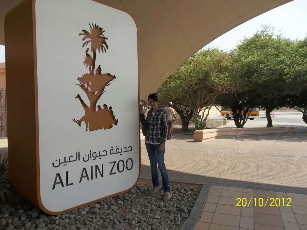 Travel snapshot of BISMI during a trip 