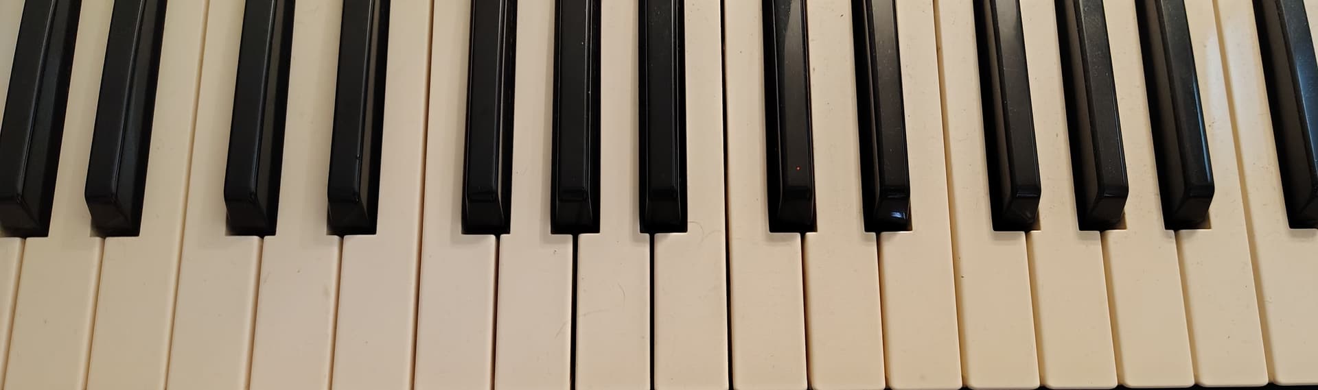 Casual photos of Jasmin, Wiingy tutor 