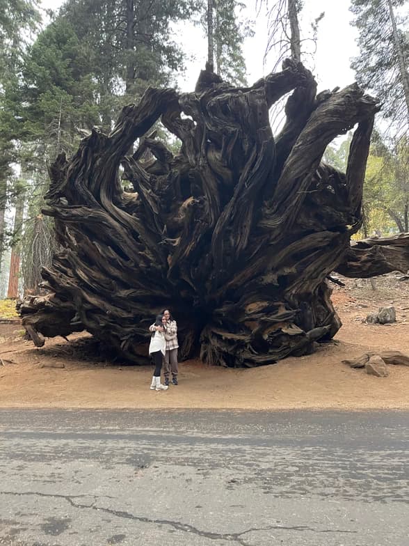 Travel snapshot of Jose during a trip 