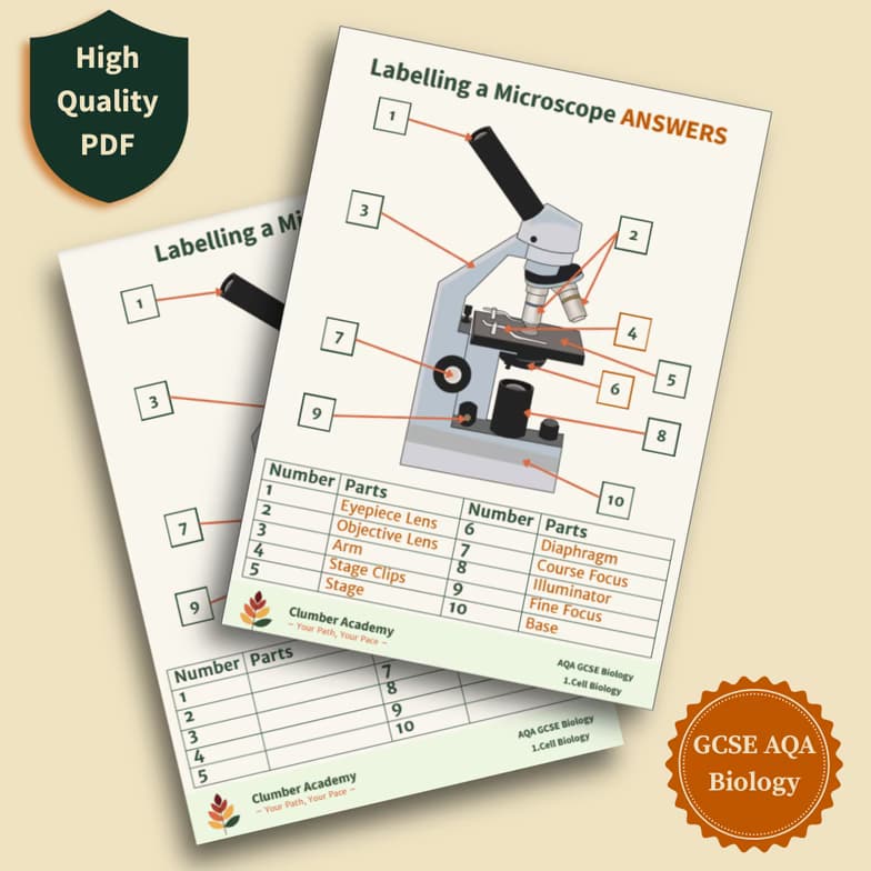 Biology learning materials by Nadia  