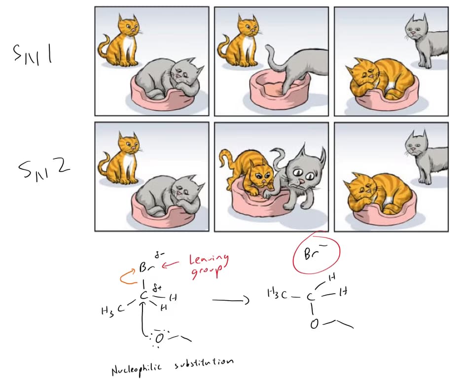 Live performance with Science by Coby