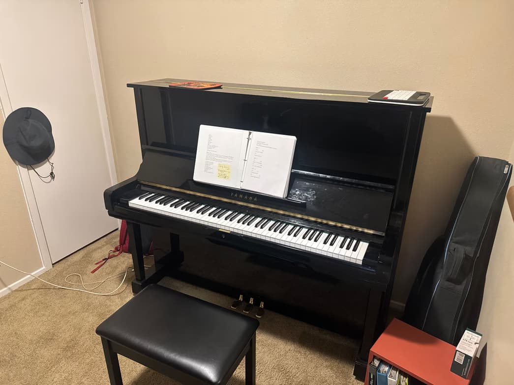 Profile photo of Paulie, Piano tutor at Wiingy 