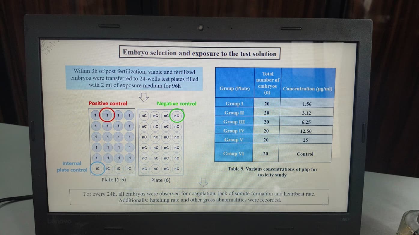 Live performance with Biology by Gopal 