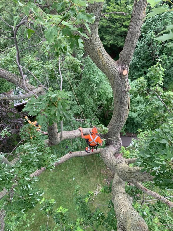 Azlan enjoying a hobby outside teaching 