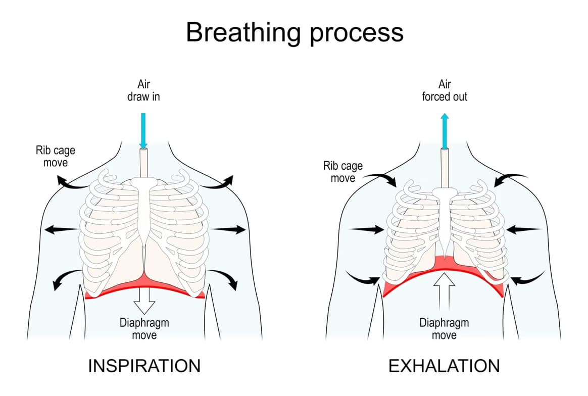 Singing learning materials by Katie 