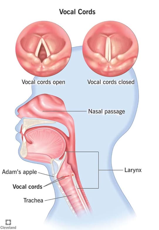 Singing learning materials by Eugene 