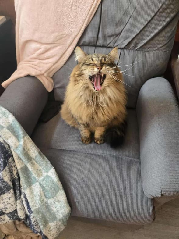 Catherineenjoying a hobby outside teaching 