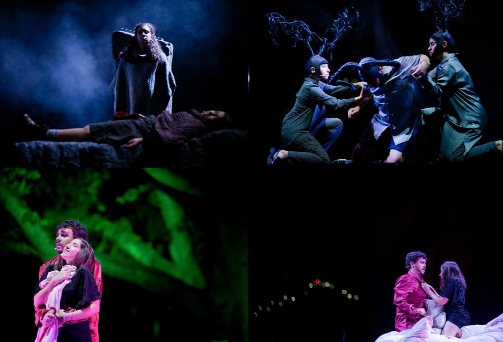 Profile photo of Beatriz , Singing tutor at Wiingy 