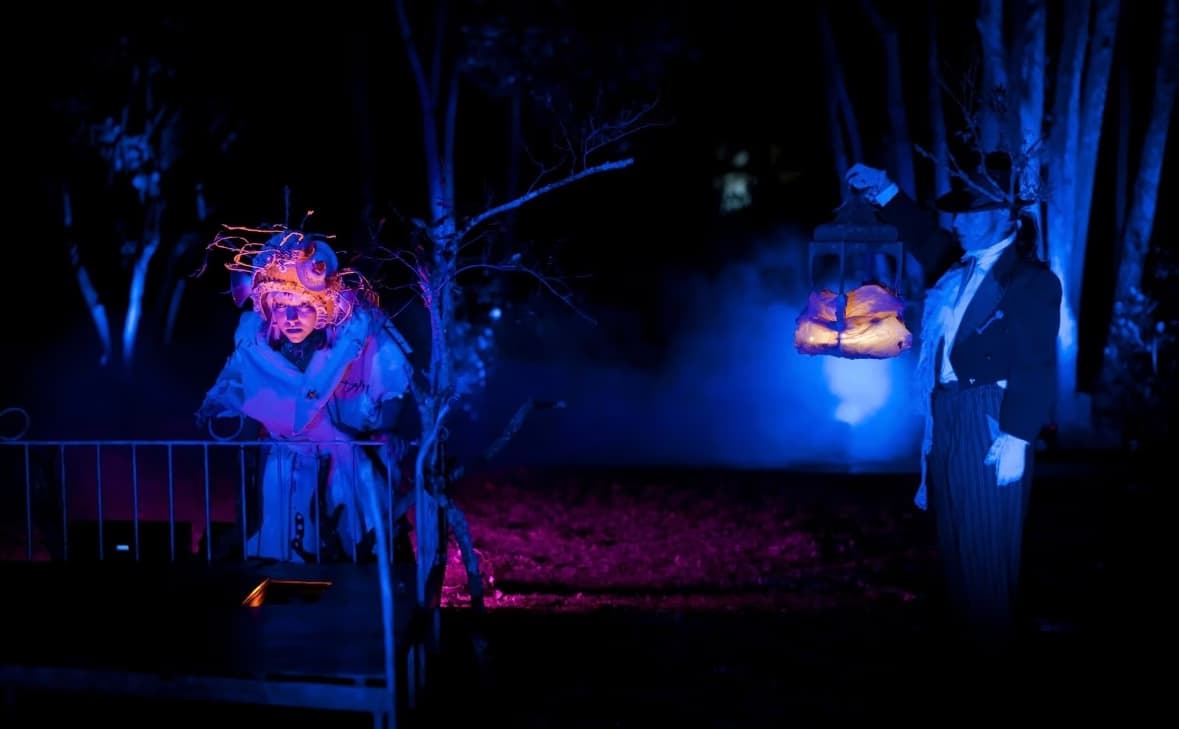 Profile photo of Beatriz , Singing tutor at Wiingy 