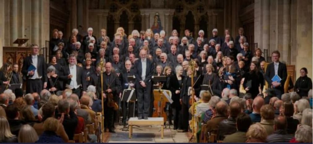 Profile photo of Beatriz , Singing tutor at Wiingy 