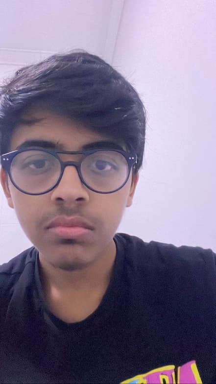 Profile photo of Krrish, Mathematics tutor at Wiingy 