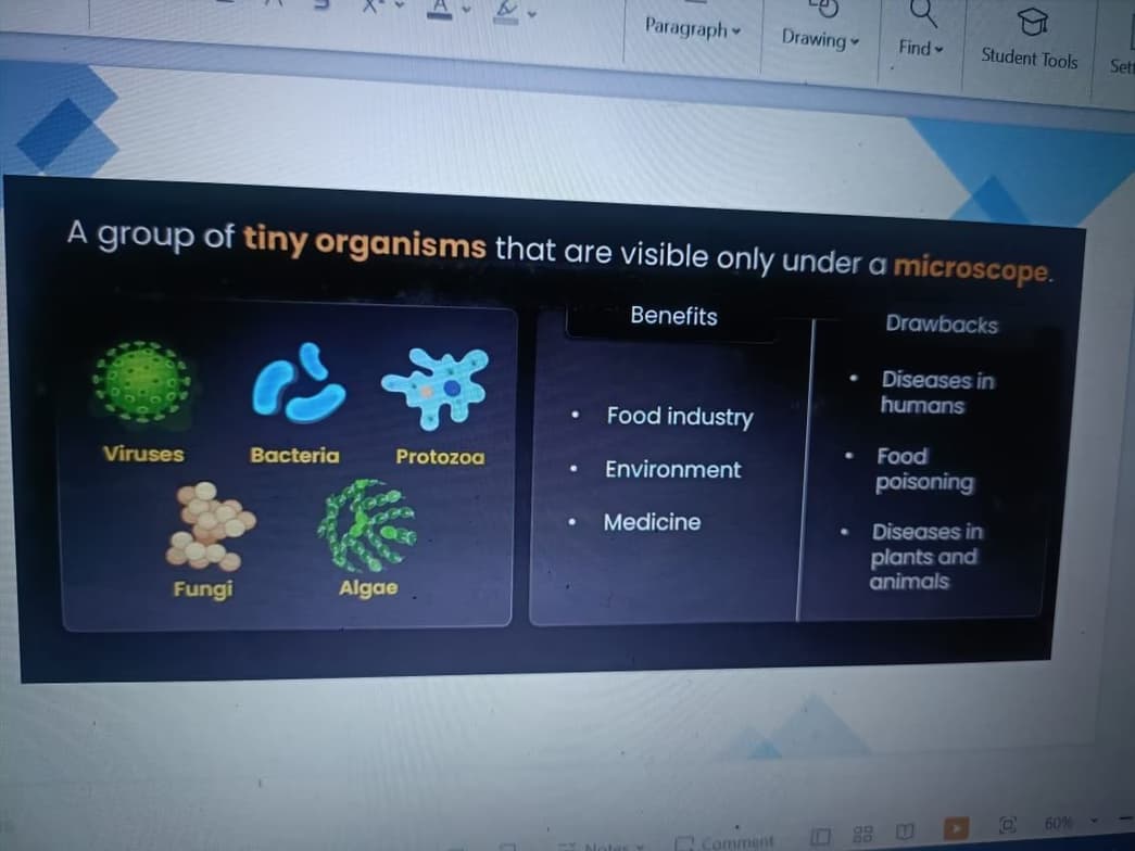 Live performance with Biology by Arti 