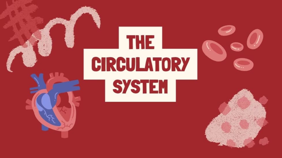 Biology learning materials by Saru 