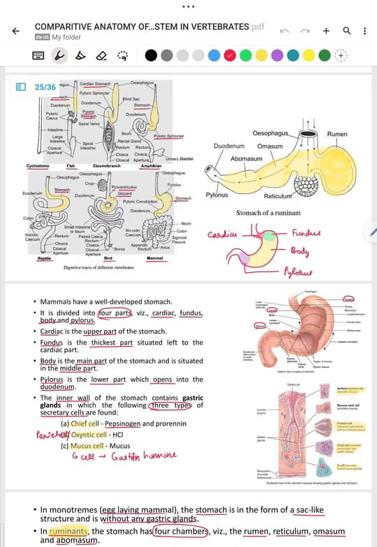 Biology learning materials by Vanshika  