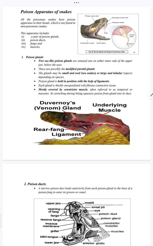 Biology learning materials by Vanshika  