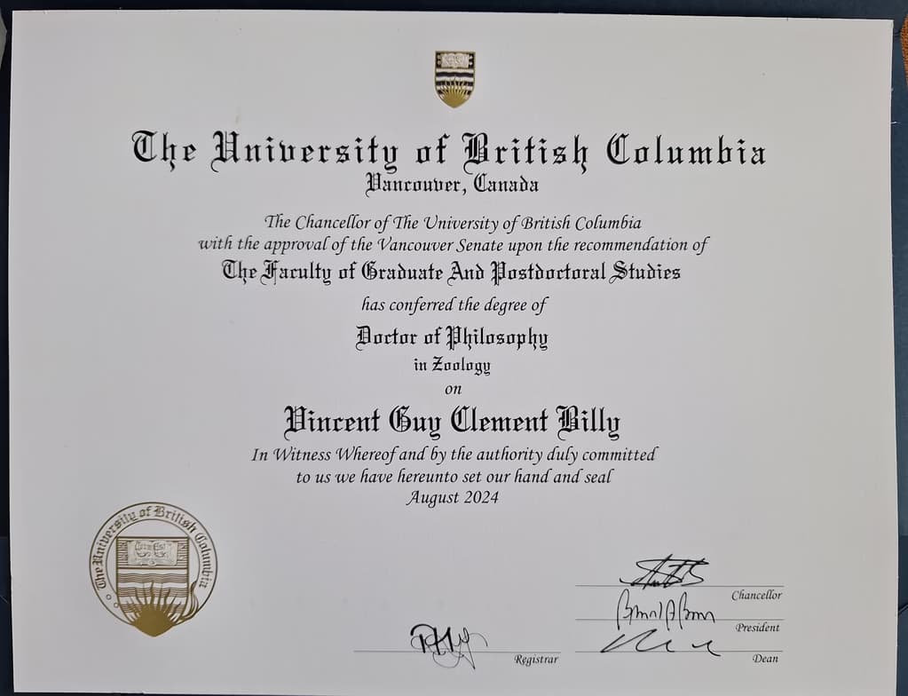 Verified degree or teaching certification of Vincent 