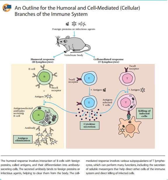 Biology learning materials by Ayushi 