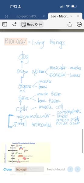 Live performance with AP by Karen Paula