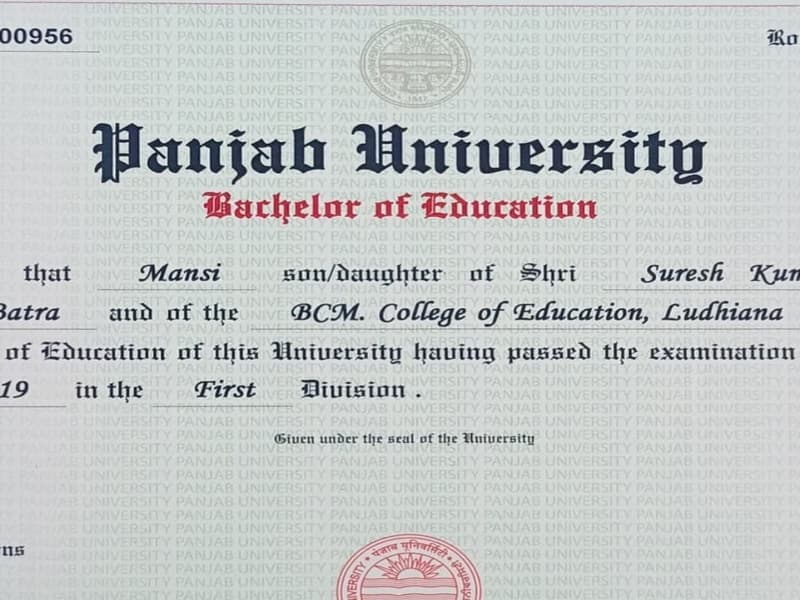 Mansi graduated from Panjab University 