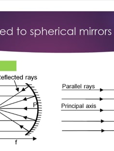 Profile photo of Abhurva  Michelle Franklin , undefined tutor at Wiingy