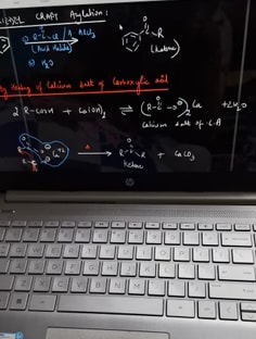 Profile photo of Shaista Ansari, undefined tutor at Wiingy