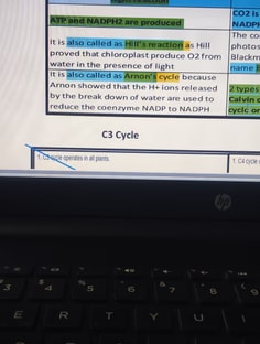 Profile photo of Prachi Choudhary , undefined tutor at Wiingy