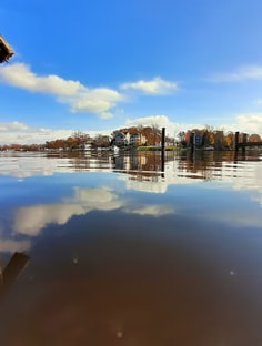 Profile photo of Maria Estela Hernandez, undefined tutor at Wiingy