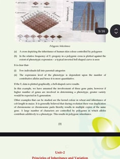 Profile photo of Akshada  Shahane, undefined tutor at Wiingy