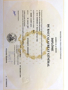 Profile photo of Ayuta Liladar, undefined tutor at Wiingy