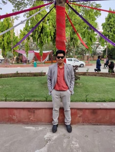 Profile photo of Siddharth Singh, undefined tutor at Wiingy