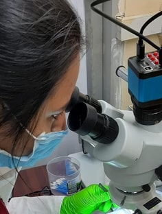 Profile photo of Palak Jain, undefined tutor at Wiingy