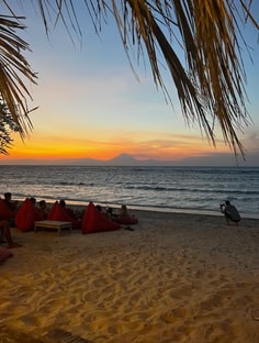 Profile photo of Maarie Rt, undefined tutor at Wiingy