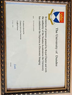 Profile photo of Dee Faulds, undefined tutor at Wiingy