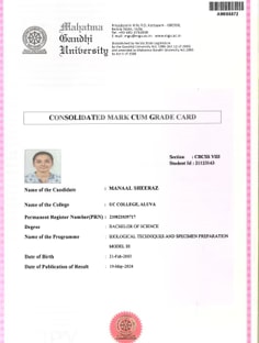 Profile photo of manaal  sheeraz, undefined tutor at Wiingy