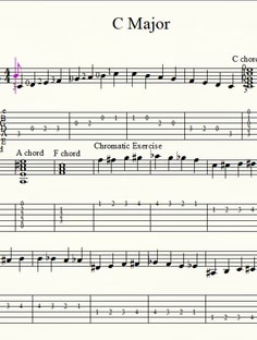 Profile photo of Patrick Willse, undefined tutor at Wiingy