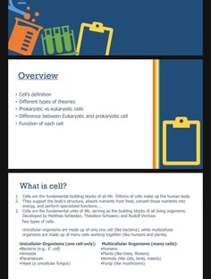 Profile photo of Srishti  Srivastava , undefined tutor at Wiingy