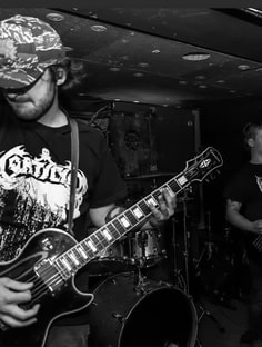 Profile photo of Ben Dlugos, undefined tutor at Wiingy