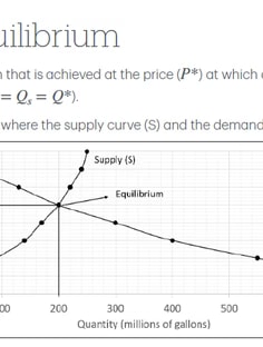 Profile photo of Yanhuan Tang, undefined tutor at Wiingy